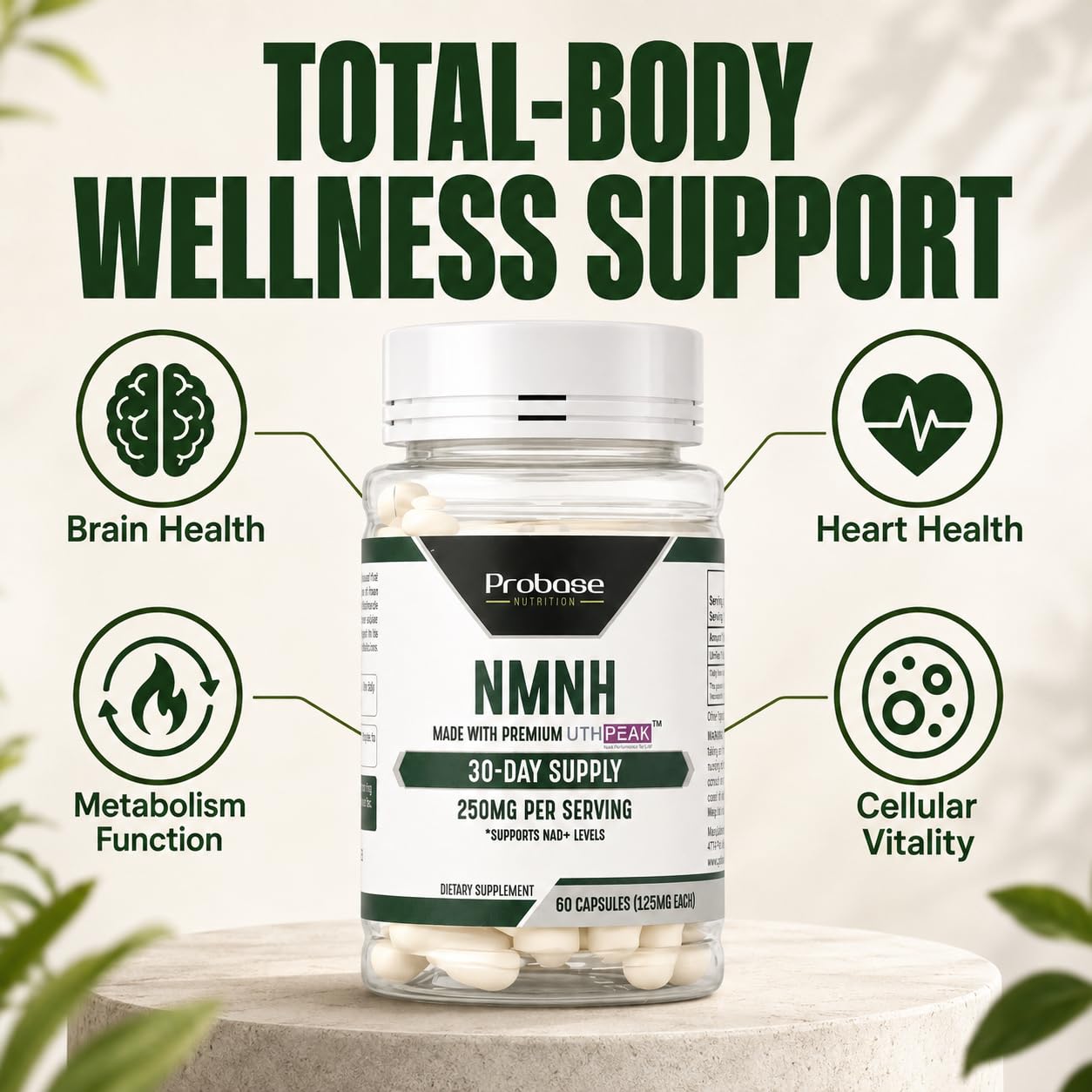 Uthpeak NMNH NAD Supplement 250mg - Recommended Dose for Healthy Aging, a Memory Focus Supplement for Cognitive Function Support (60 Capsules) - Alternative to NR, NAD, Quercetin and Fisetin — Amazon image 5