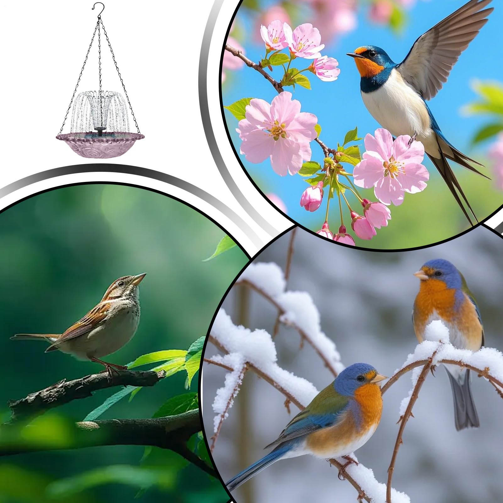 Baño solar para pájaros Bebedero Colgante con Ducha | Fuente Solar con Bomba de Agua para Aves para Jardín, Patio, Colibrí, Exterior, Balcón