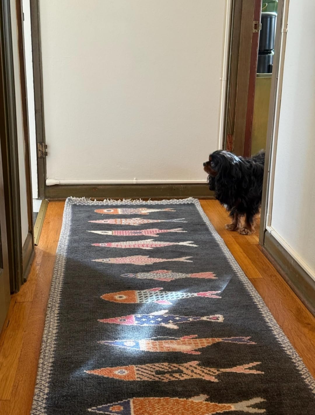 Hand-Knotted Fish Pattern Area Rug, Gray Blue Background, Multicolor Decorative Fish Design, Wool Blend with Fringe (Black, 5 × 7 Feet)