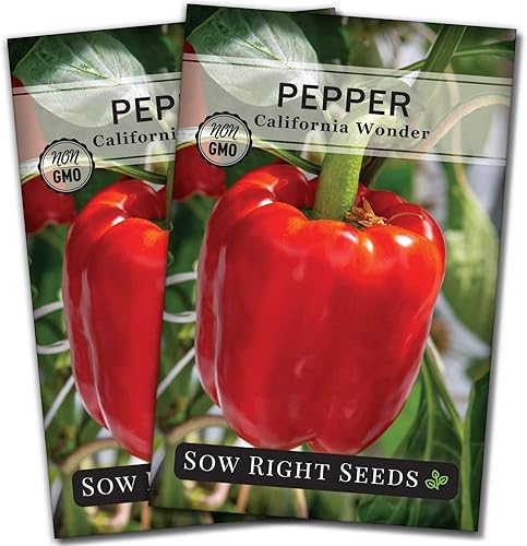 Sow Right Seeds - Semilla de pimiento de California Wonder para plantar - Paquete de reliquia sin OMG con instrucciones para plantar un huerto en el