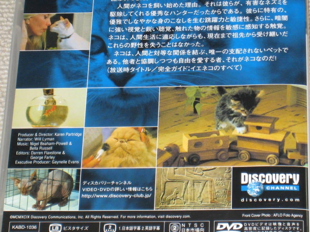 Amazon.co.jp: DVD「THE ULTIMATE GUIDE ネコ ディスカバリー