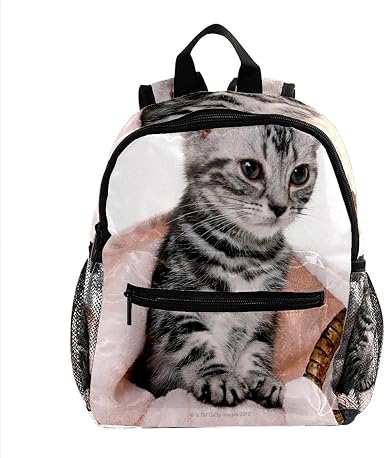 Jessgirl Zaini Piccoli Zainetto Mini gattino gattino Zaino leggero per le  vacanze per ragazzi e ragazze : Amazon.it