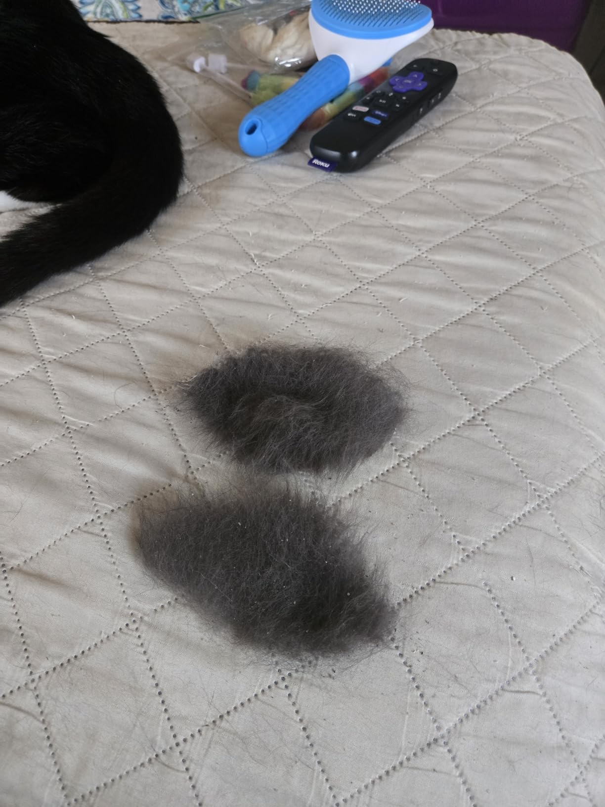 Depets Self-Cleaning Slicker Brush for Dogs Cats Rabbits, Grooming & Shedding Tool for Long/Short Hair photo review