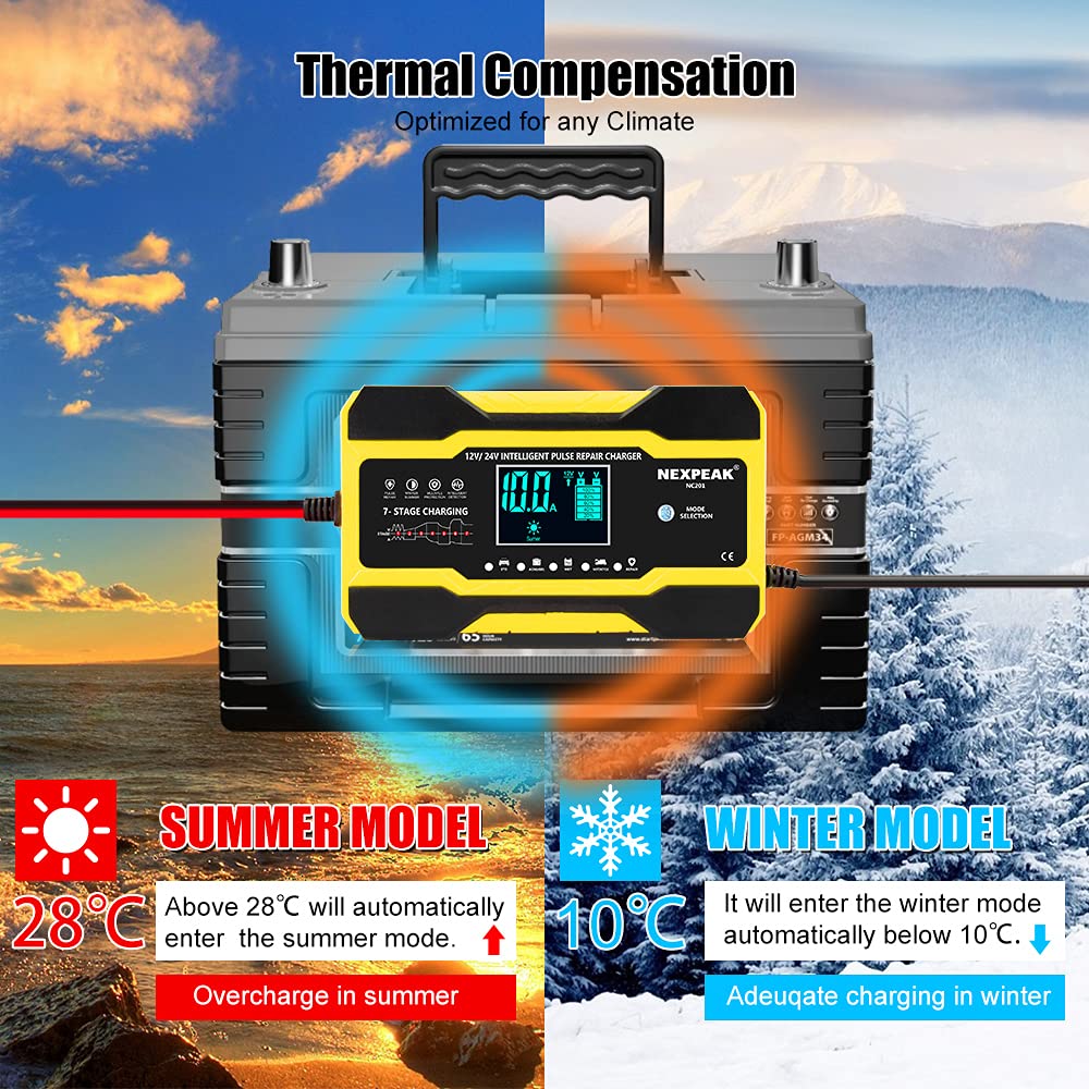 Caricabatteria per auto 12V-24V completamente automatico
