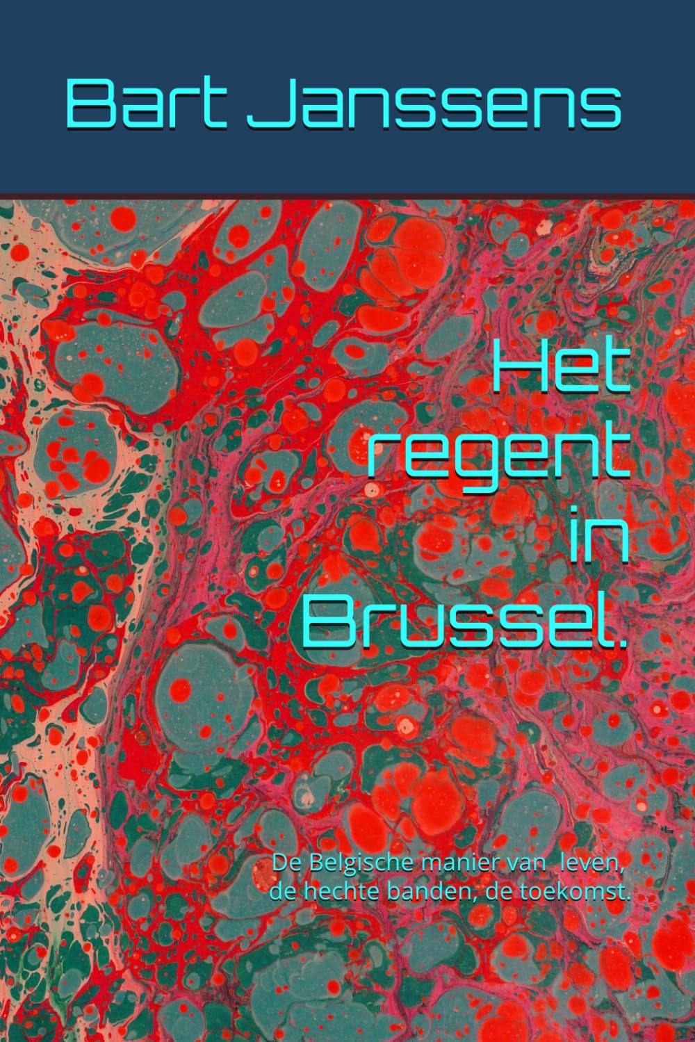 Het regent in Brussel.: De Belgische manier van leven, de hechte banden, de toekomst.