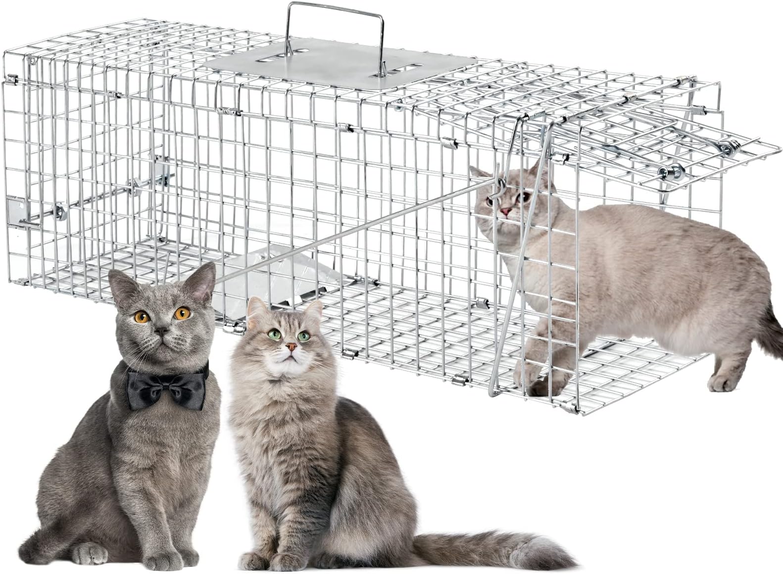 Amazon.com : Tru Catch 30LTD Humane Live Animal Trap - Easy & Safe ...