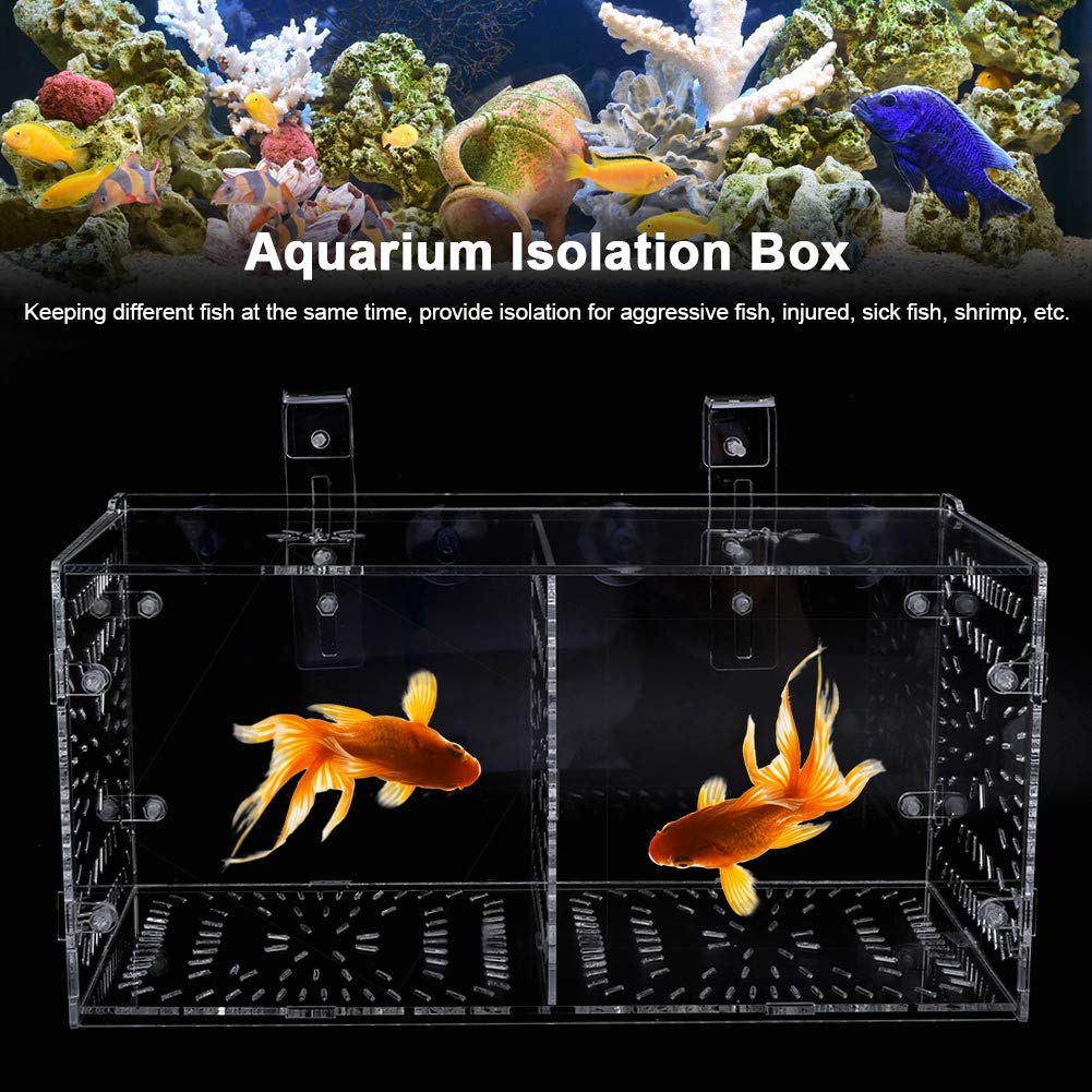 Boîte d’Isolation de Poissons en Acrylique avec Plaque d’Isolation pour Poissons, Crevettes, Clown et Guppy