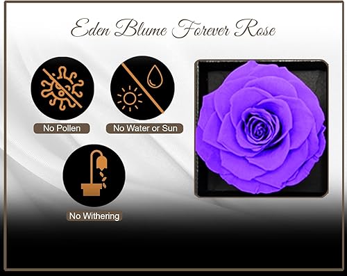 Miniatura 4 de Joyero de rosas eternas preservadas morado