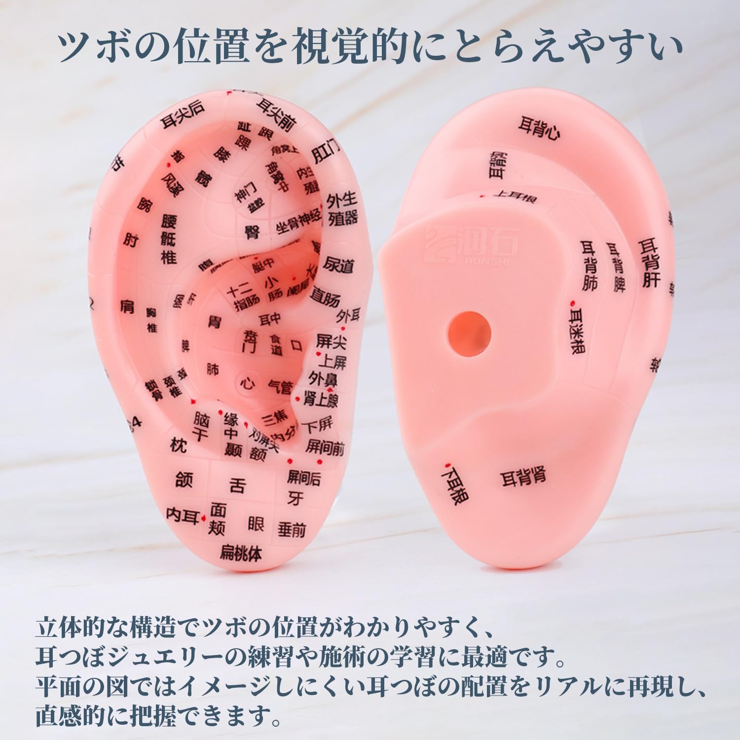 Amazon | 耳つぼ 模型 耳つぼシール 耳つぼジュエリー 練習 グッズ 耳