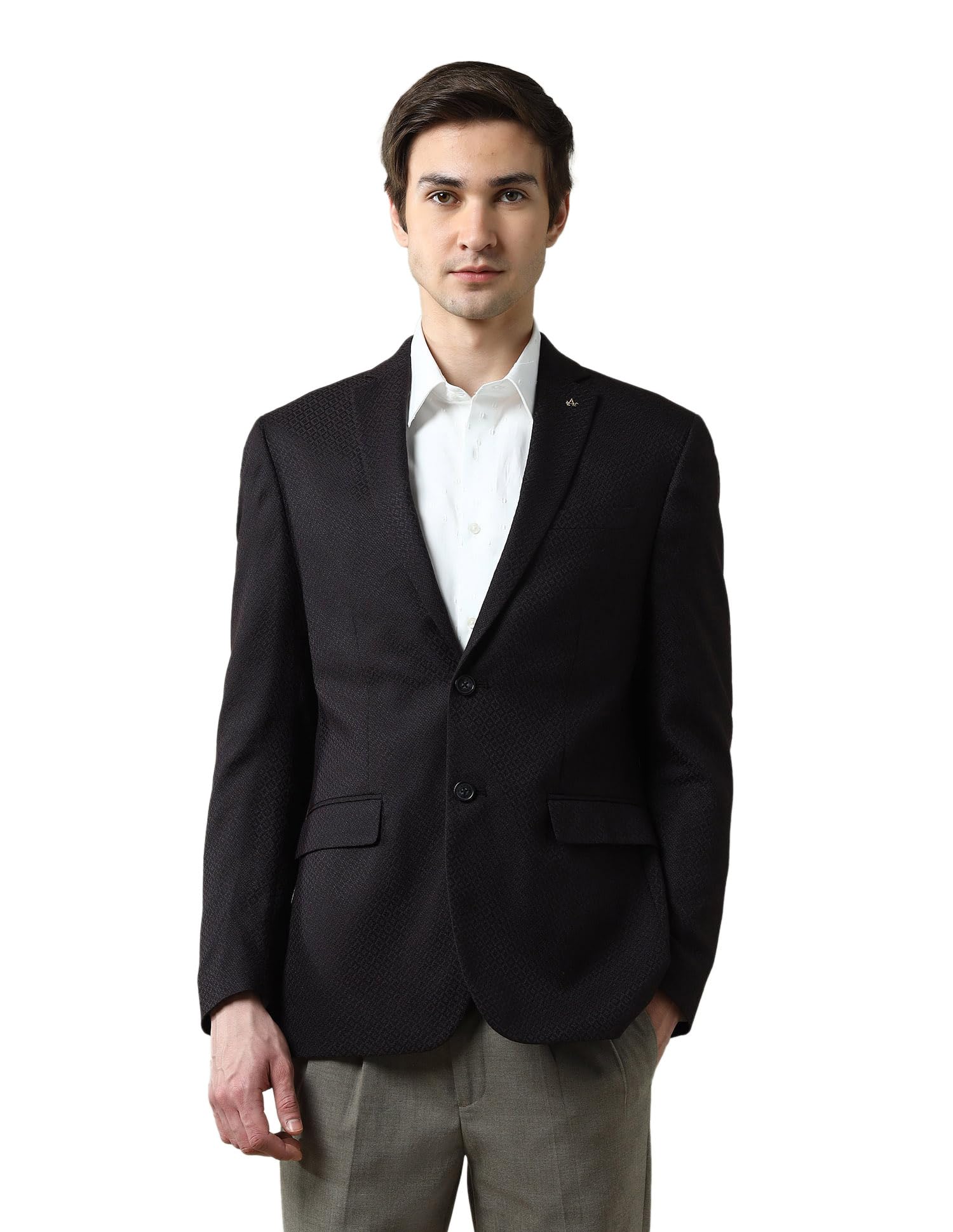 arrow Men's Textured Dobby 1851 Blazer-picture-34
