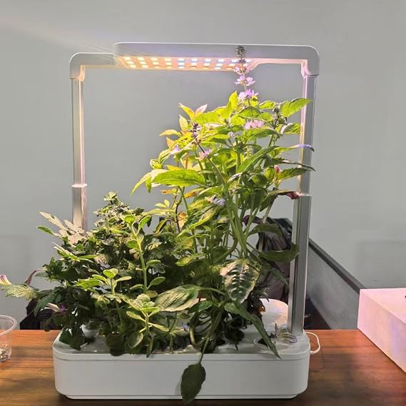 12 Pods Indoor Garden Hydroponics Growing System,24W LED Grow Light,6.5L Water Tank,Pump System,Automatic Timer Smart Vegeable and Fruit Grow Garden Kit,White