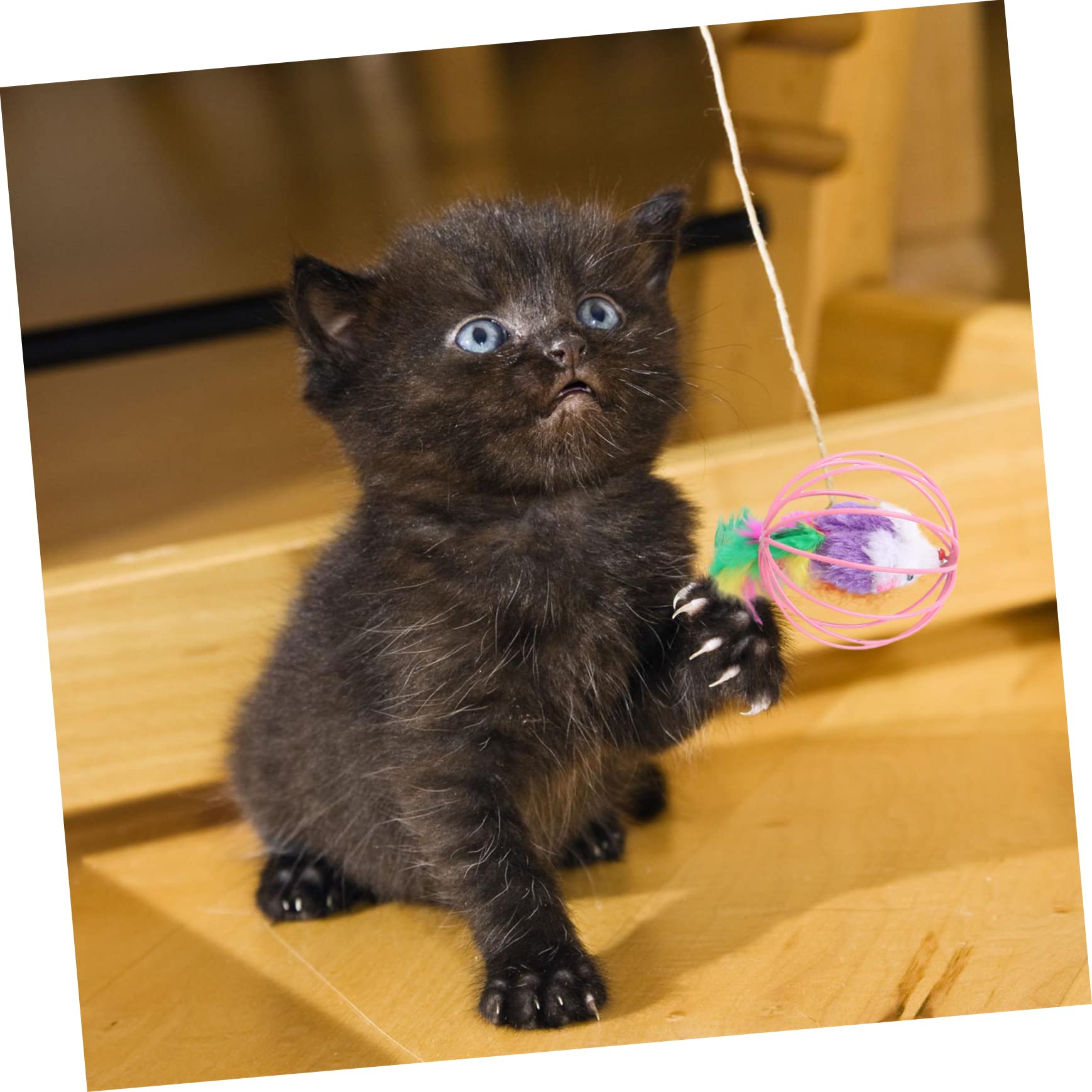 Happyyami Cat Plaything 5 Pieces Cage Mouse Toy Cat Mice Cage Shaped Balls Funny Decorative Random