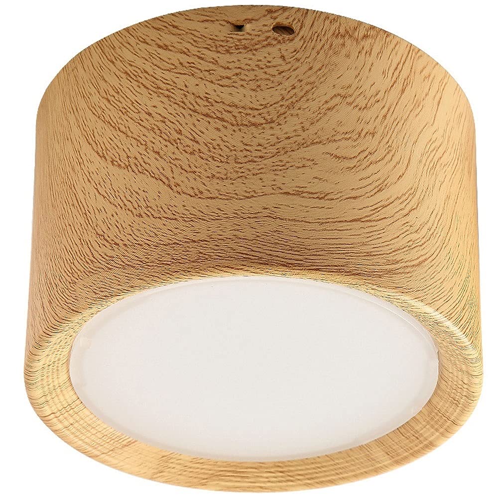 LYMSXAZOU LED Ceiling Light Nordic Surface Mounted Downlight Corridor Aisle Lights Creative Lamp Light, Black Close To Fixtures, 3000K-6000K Interesting
