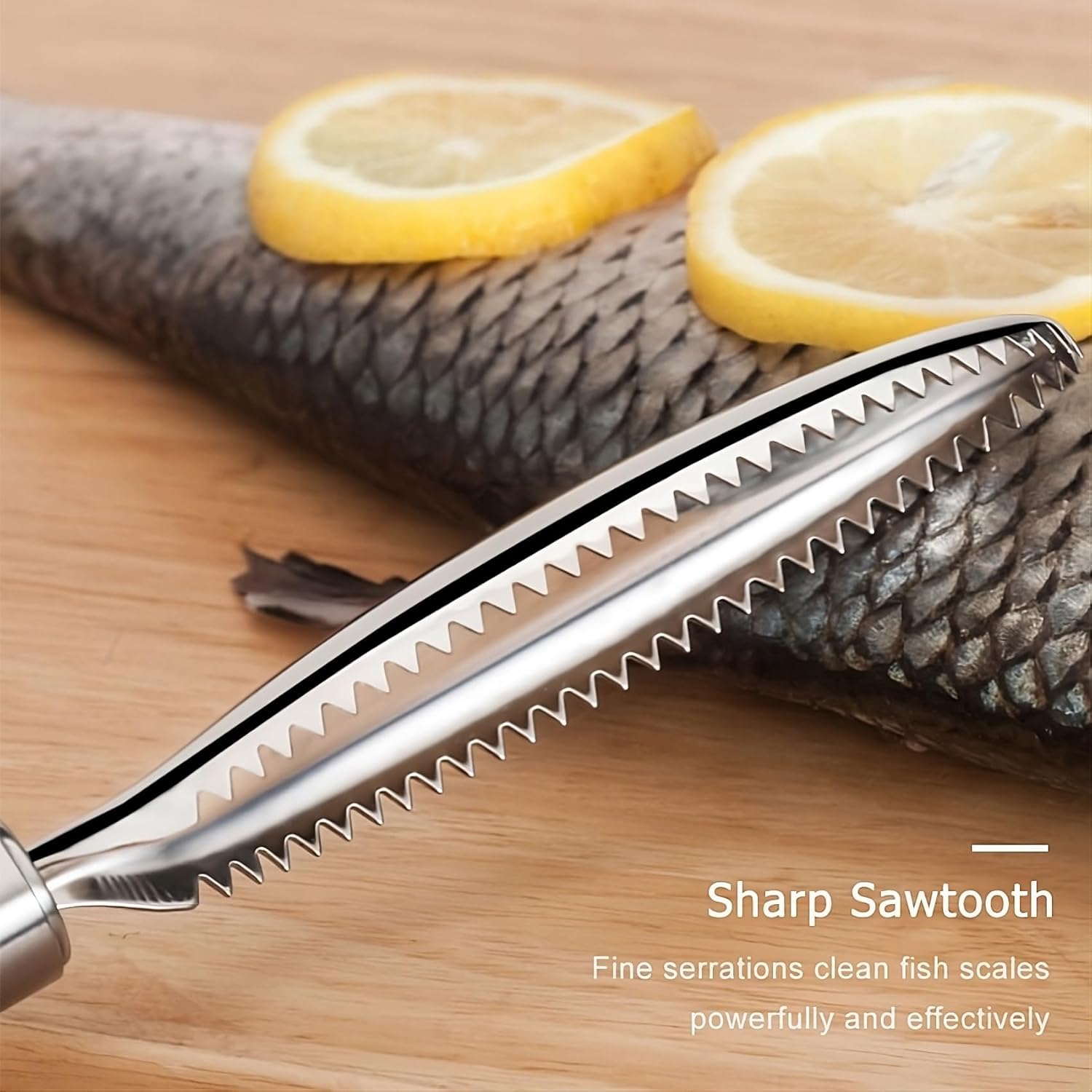 3-in-1 Stainless Steel Fish Maw Knife with Sawtooth Scaler fish scaler remover Premium Stainless Steel for Easy Scaling and Skinning Cleaning Brush Scraper for home, kitchen, fish shop (2) 3