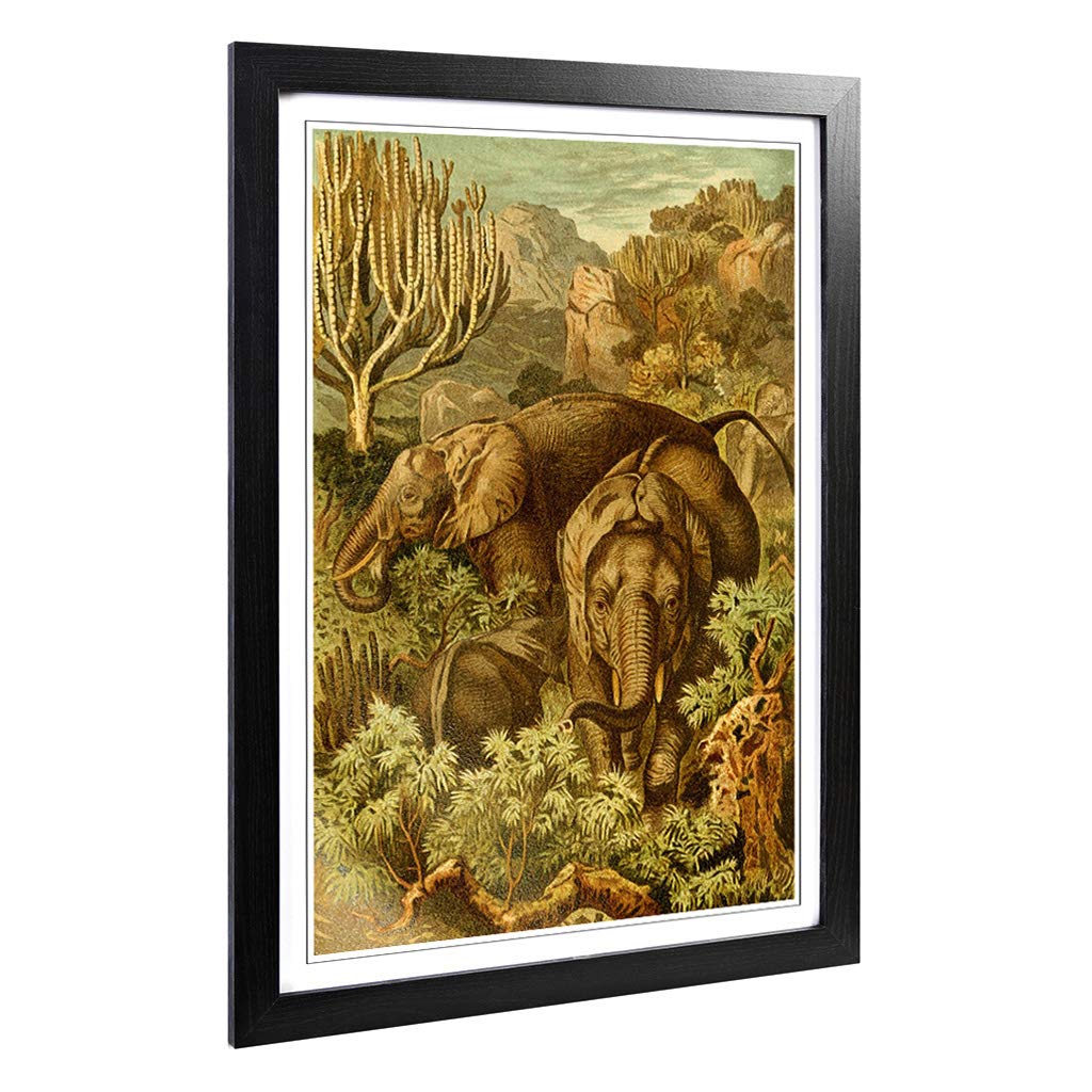Big Box Art Framed Print of Vintage Brehms Tierlben African Elephant Design | Wall Art Picture | Home Decor for Kitchen, Living Room, Bedroom, Hallway, Black, A2 / 24.5x18 Inch / 62x45cm