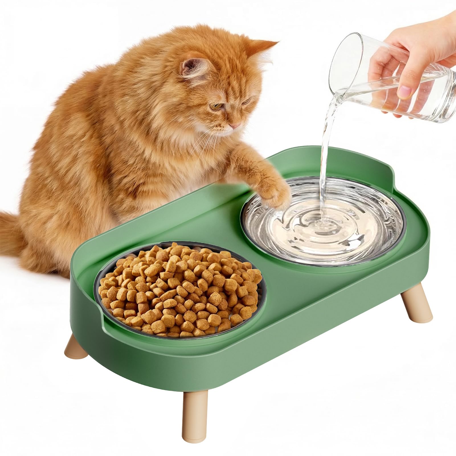 fanado Raised Cat Bowls, Elevated Cat Food and Water Bowl Set for Indoor Cats, Splash Proof with 2 Stainless Steel Pet food Bowls for Cats and Puppies, Whisker Fatigue and Dishwasher Safe - Green