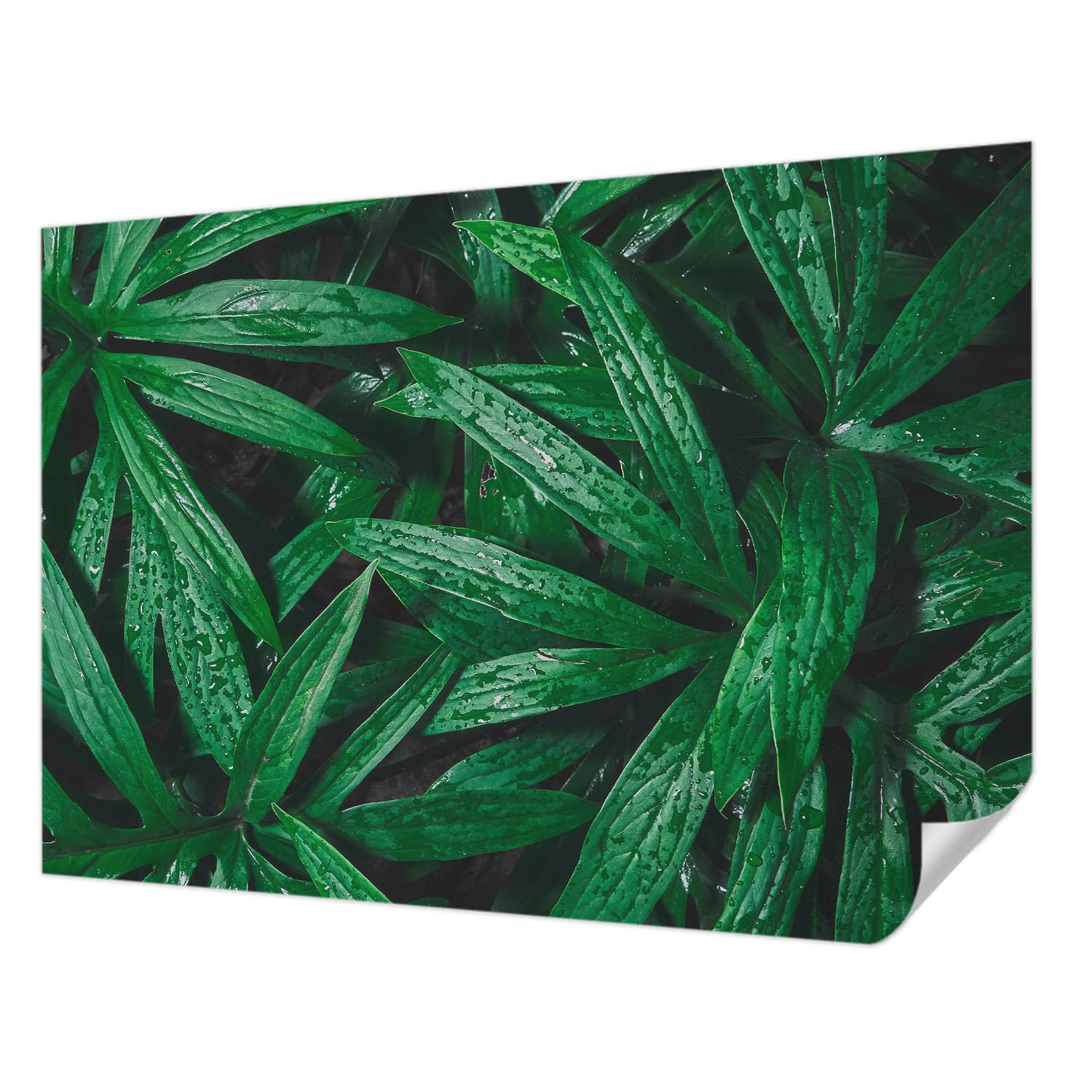 Papier peint adhésif verdure naturelle Tulup 208x146 cm pour salon