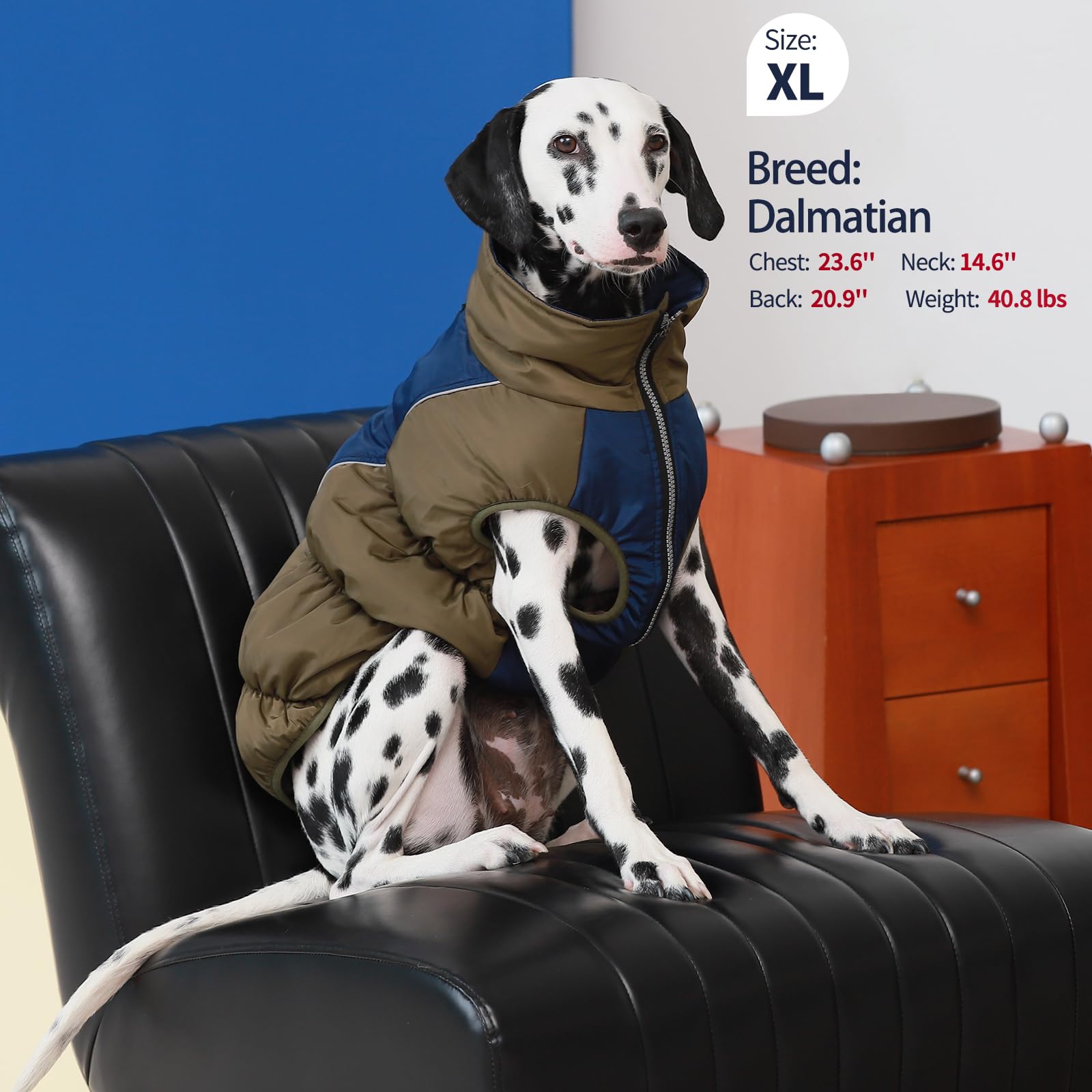IECOii Manteau de neige imperméable XXL avec doublure en polaire, col roulé réfléchissant, fermeture éclair pour grands chiens