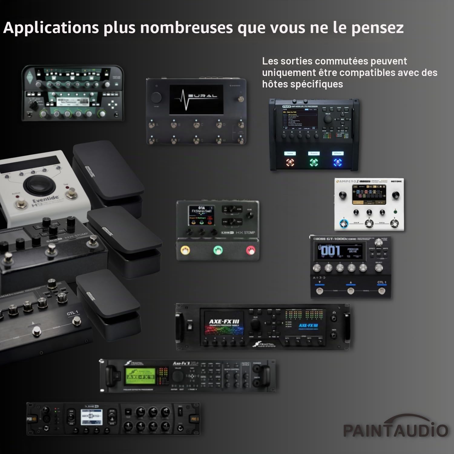 Paint Audio Foot Captain Pédale d'expression multi-effets compatible avec connexion pointe/anneau (Foot Captain-SWM)