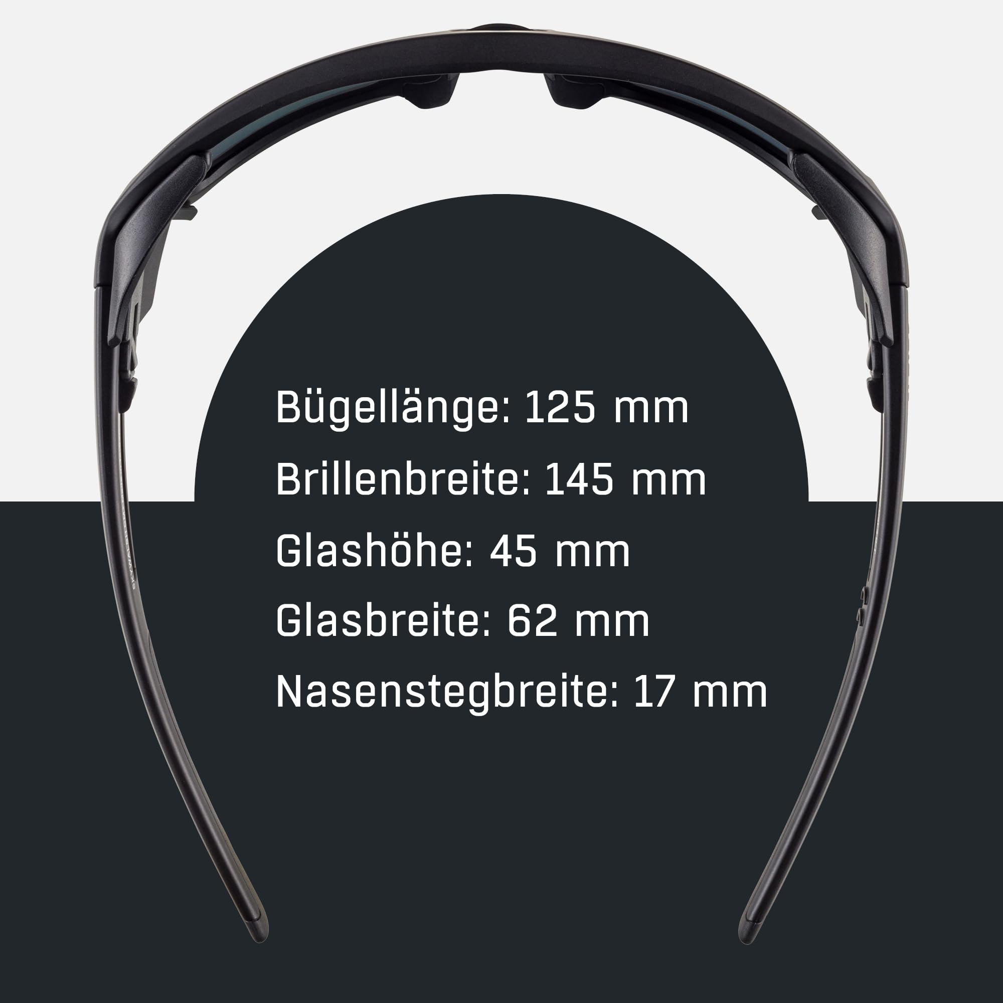 ALPINA Unisex Sykwalsh Sportbrille (1er Pack)