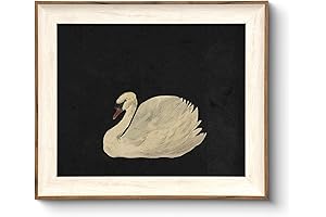 VIYYIEA Framed Canvas Wall Art - Vintage Swan