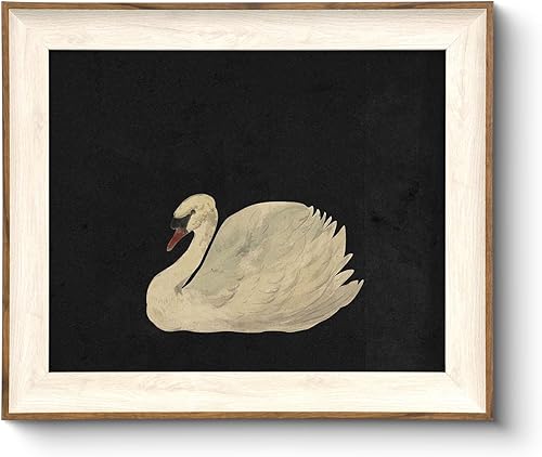 VIYYIEA - Cuadro antiguo con marco, impresión en lienzo de cisne, pinturas de animales para paredes de sala de estar, baño, habitación, regalo para
