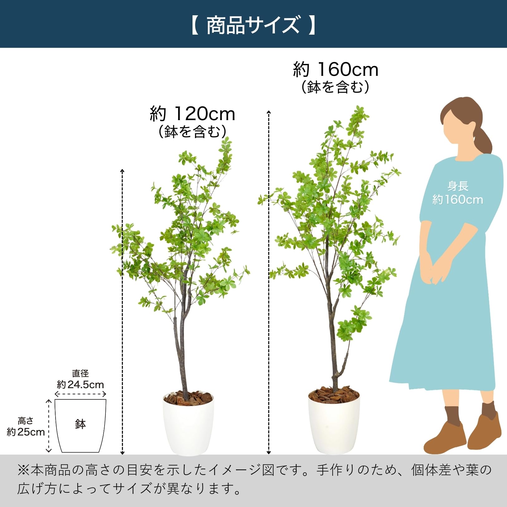 Amazon｜Botanical life+ フェイクグリーン 観葉植物 光触媒 日本製 消