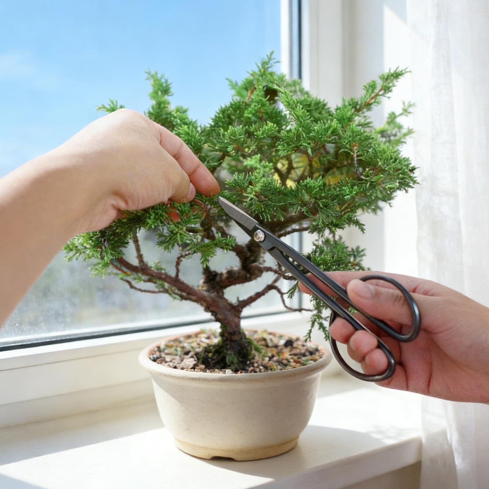Gartenwerkzeug Set, Bonsai Werkzeug, 24-Teiliges Gartengeräte Set, Bonsai Schere,Bonsai Draht,Pinzette,Gartenhandschuhe, Mini Pflanzen Werkzeug Set, Bonsai Starter Werkzeuge Set für Bonsai Einsteiger