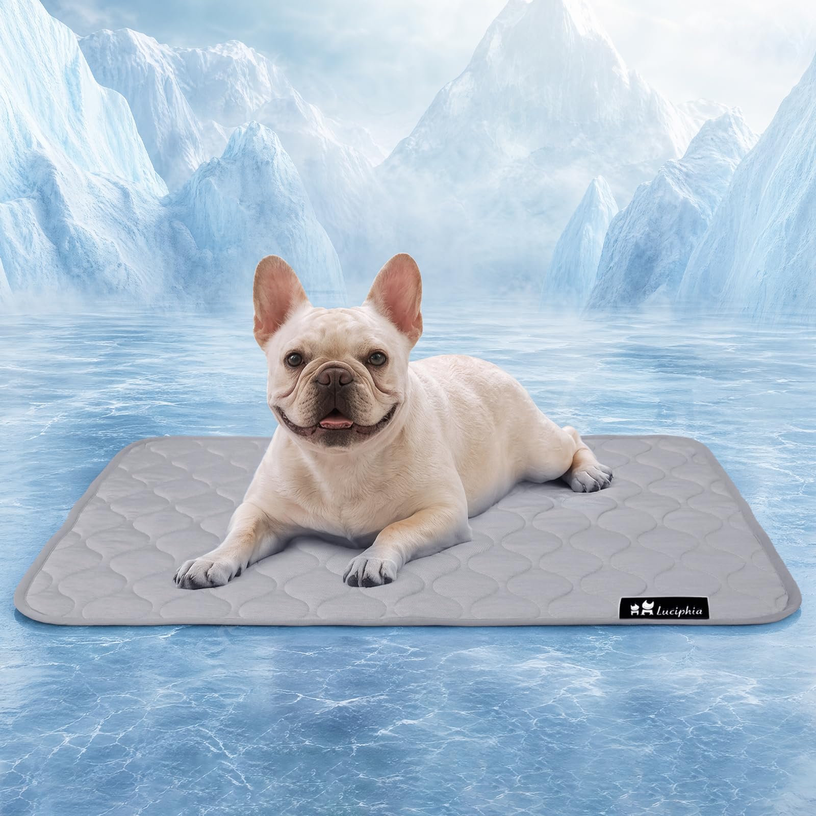 Luciphia Waterproof Cooling Blanket for Dogs Couch Cover Q-MAX>0.5, Leakproof Pet Mat Non-Slip for Cat Puppy Crate Bed Protector Outdoor Throw (Cloud Grey, 30x40 inches)
