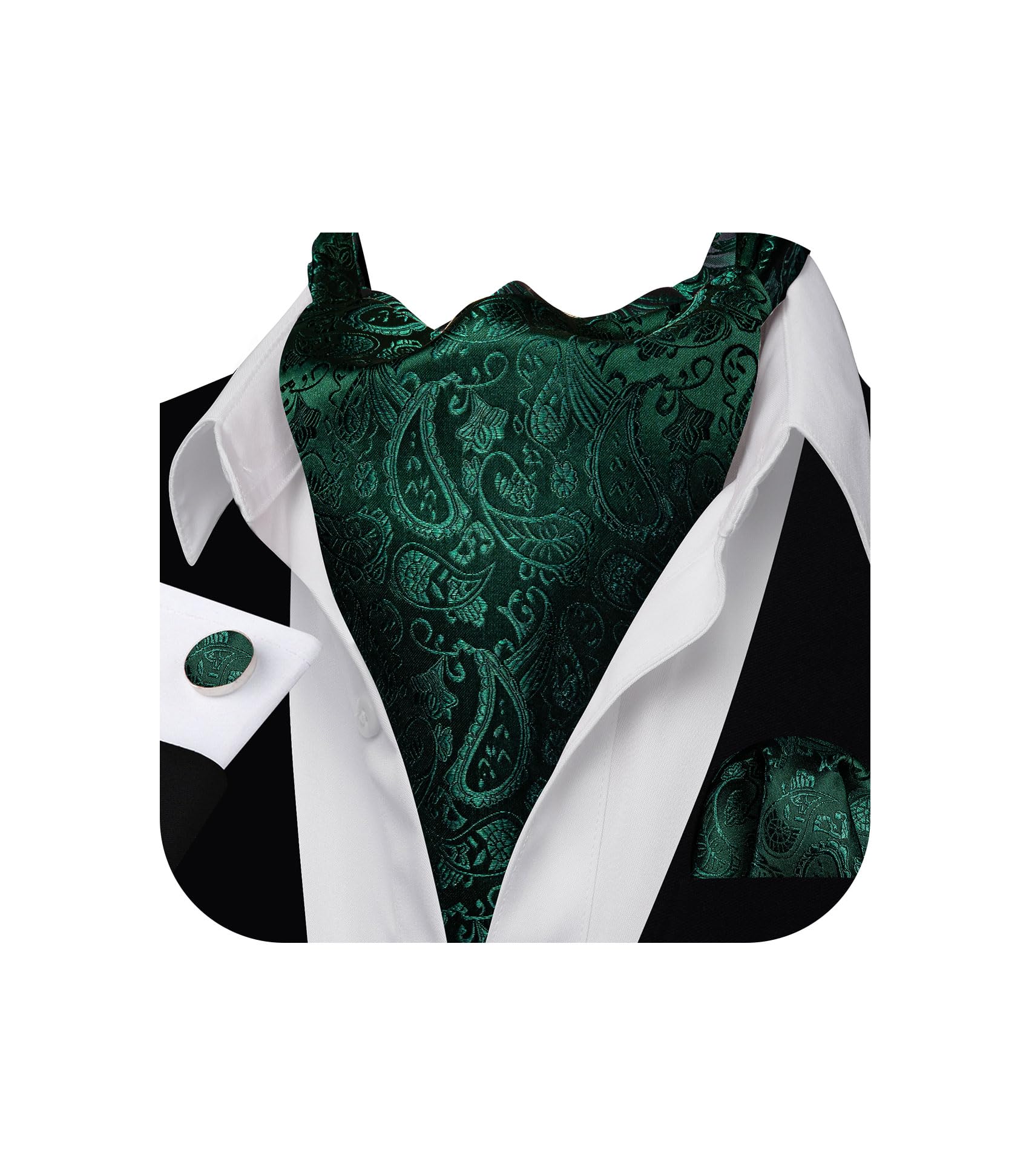 Barry.Wang Ascot for Men Cravat Tie Sets Paisley Scarf Self Tie Necktie
