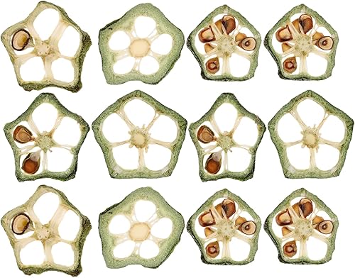 Milisten 12 piezas de rebanadas de okra prensadas secas para manualidades para álbumes de recortes, joyas y arte de uñas, adornos naturales únicos