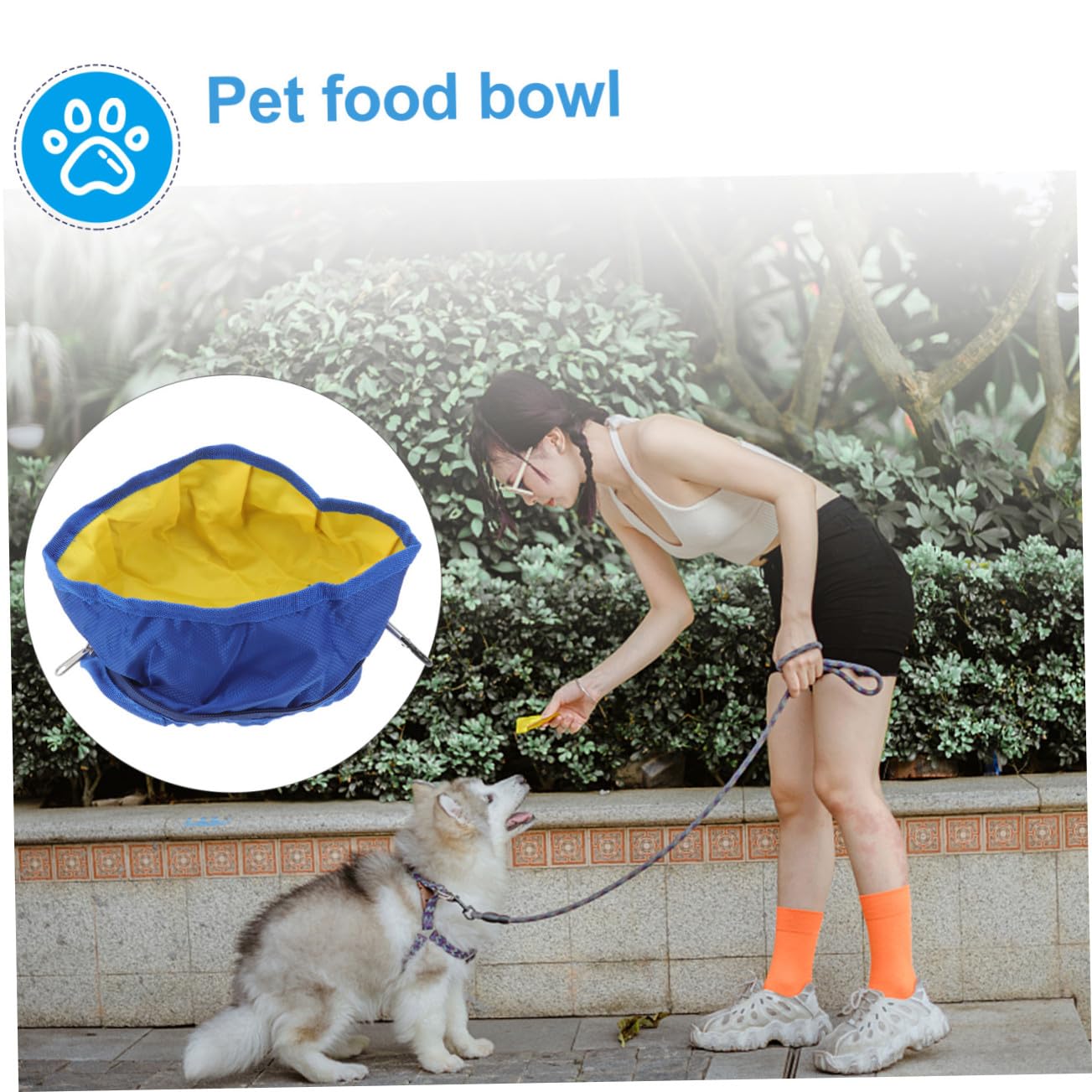 Didiseaon 3 Pezzi Ciotole Per Animali Domestici Ciotole Per Acqua Portatili Per Cani E Gatti in Poliestere 19x19 Cm Con Gancio A Cerniera