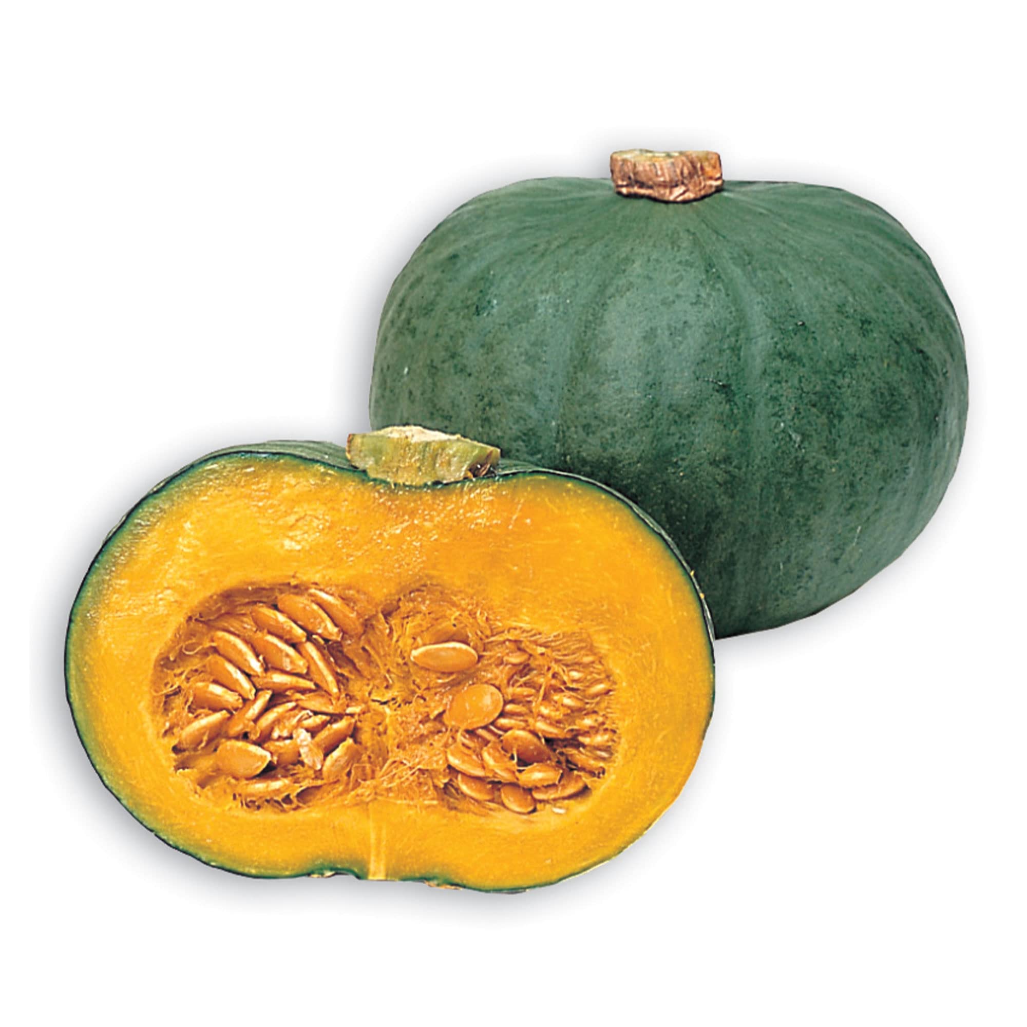 kuri kuri  Amazon.com : Squash Seeds - Japanese, Winter - Blue Kuri - 4 Oz