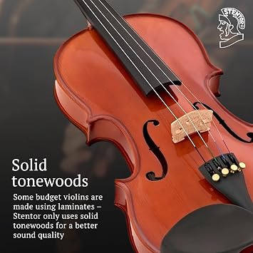 STENTOR SV-120 4/4 Violin Set