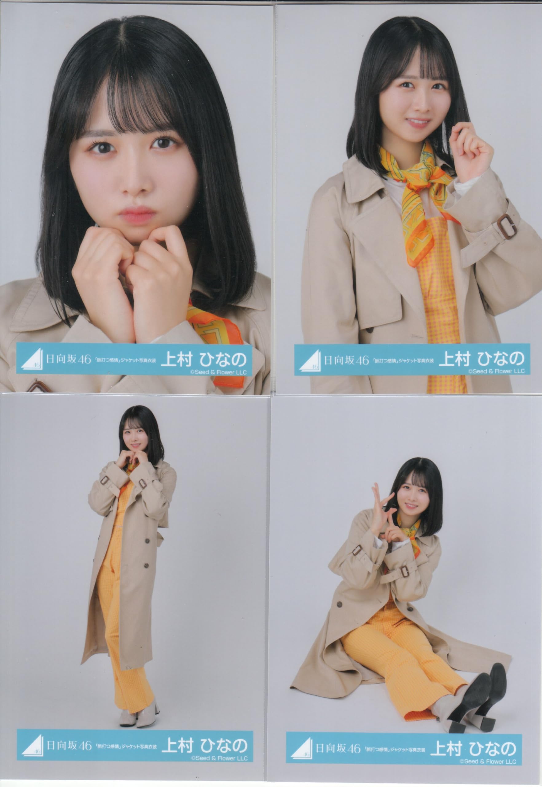 日向坂46 上村ひなの生写真コンプ 上村ひなの 生写真 コンプ まとめ 日向坂46 【公式通販】