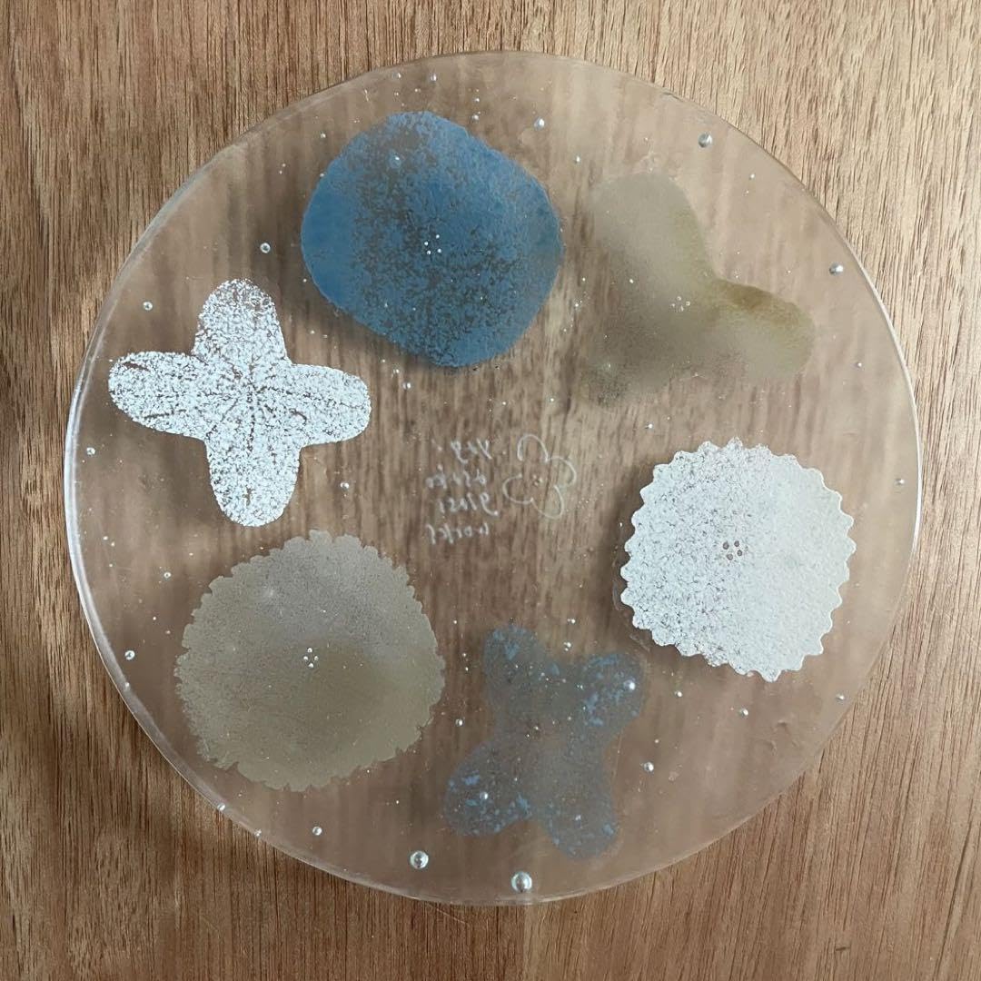 新品】八木麻子 リース モカ 花 【公式通販】