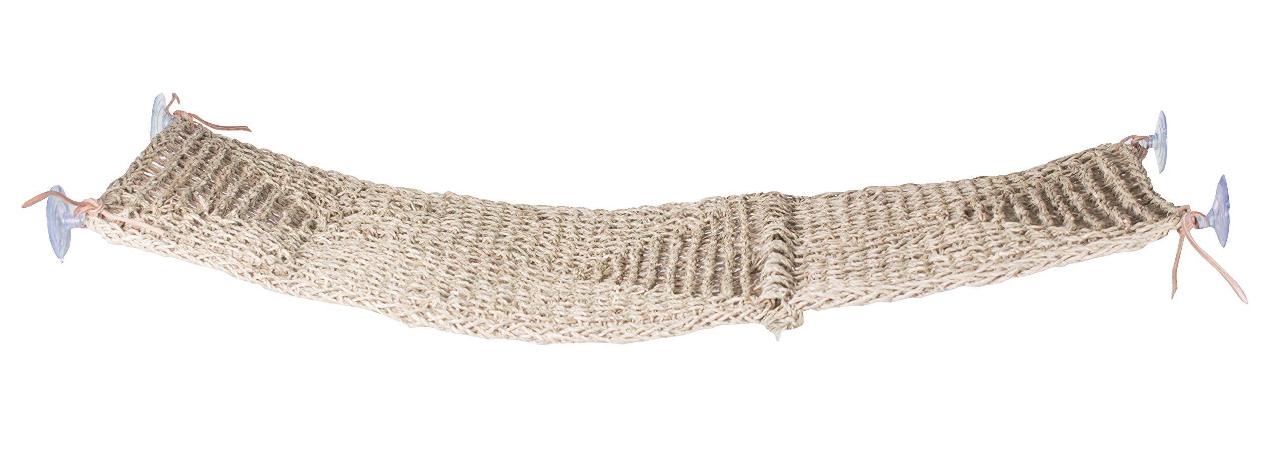 Penn Plax Reptology - Puente para Tumbona de lagartos para Dragones barbudos, Iguanas y Otros Reptiles, 700 g