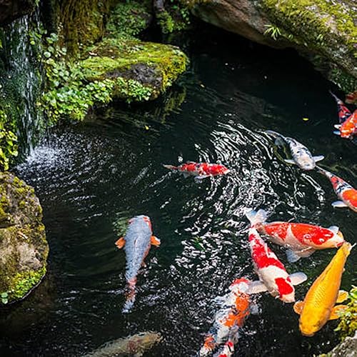 Miniatura 9 de Yarlung Revestimiento de estanque de 10 x 13 pies, alfombrilla de estanque de peces de 20 mil, revestimiento de estanque de HDPE negro para cascada,