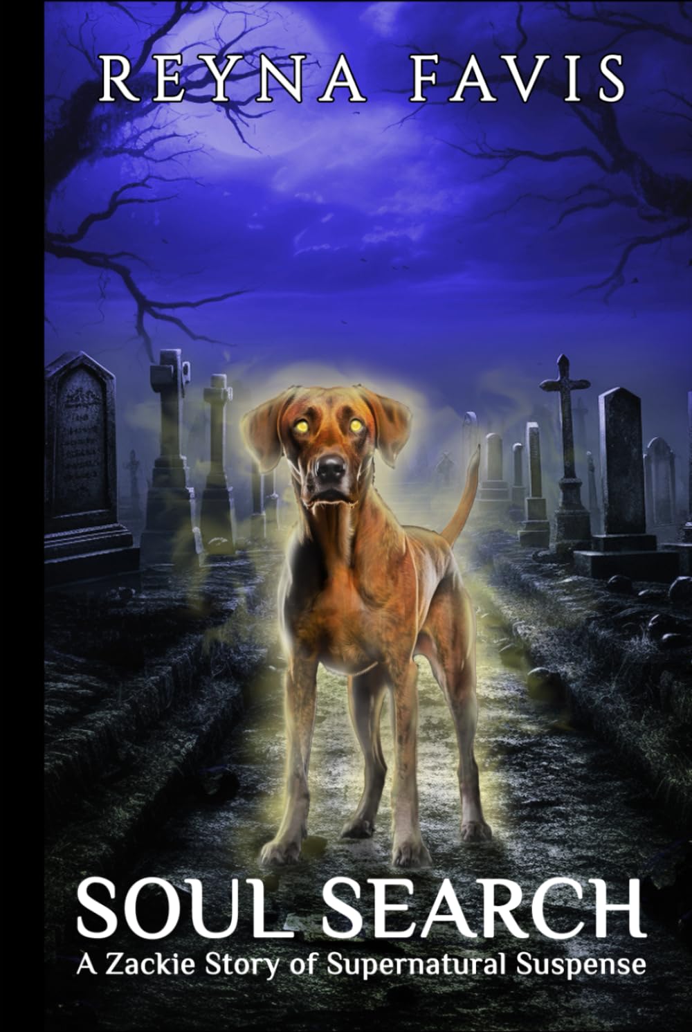 Soul Search: A Zackie Story (The Zackie Stories)