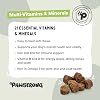 Multi-Vitamins & Minerals Soft Chew Dog Supplements – 21 Essential Nutrients for Daily Health, Energy, Joints, Skin & Coat with Omega 3 EPA & DHA – 120 Soft Chews