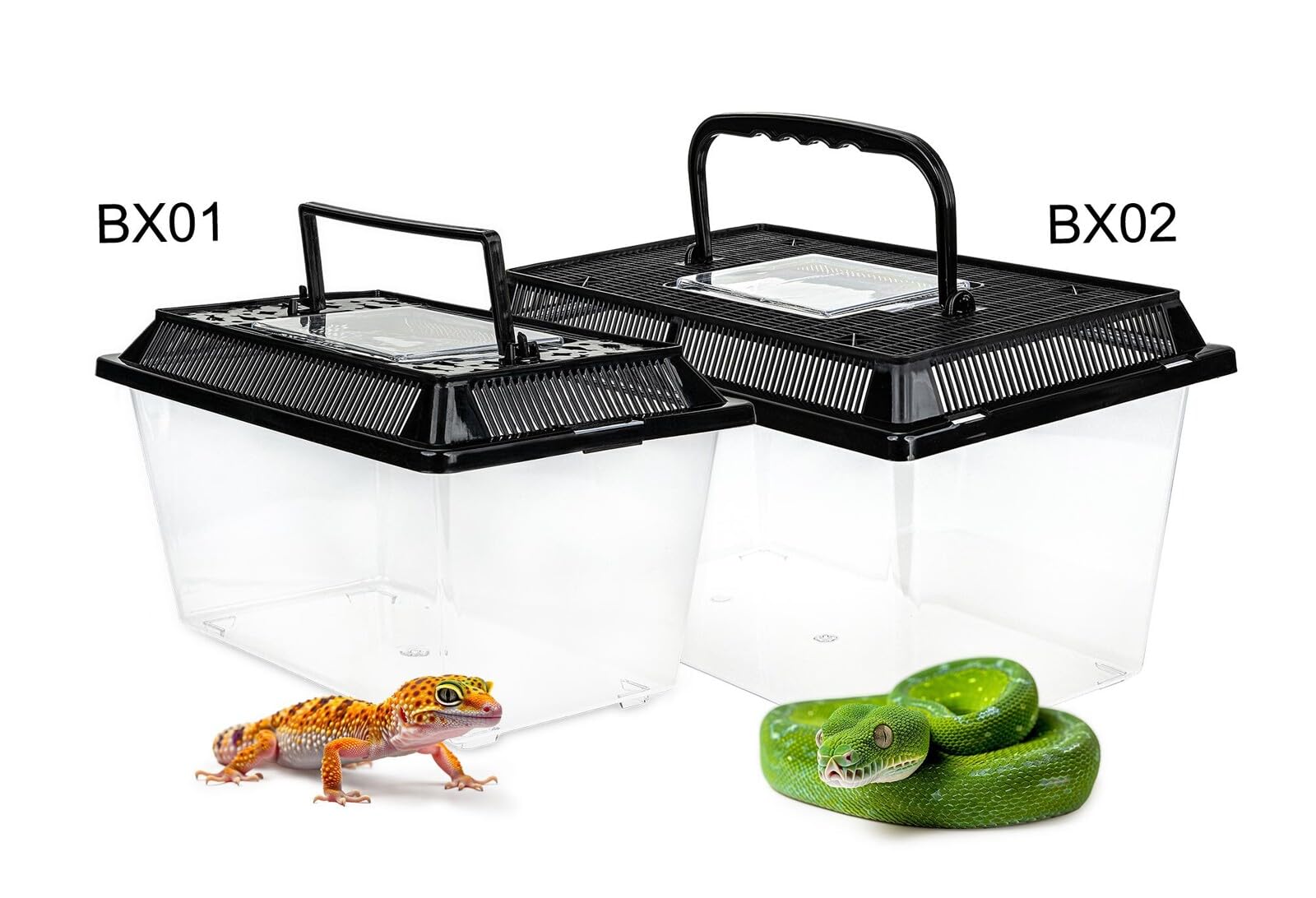 Happet Pojemnik hodowlany Terra Box Light 27×17×16 cm – przezroczysty z wentylacją i uchwytem | Transporter i faunarium dla gadów, płazów, owadów, pajęczaków, gryzoni