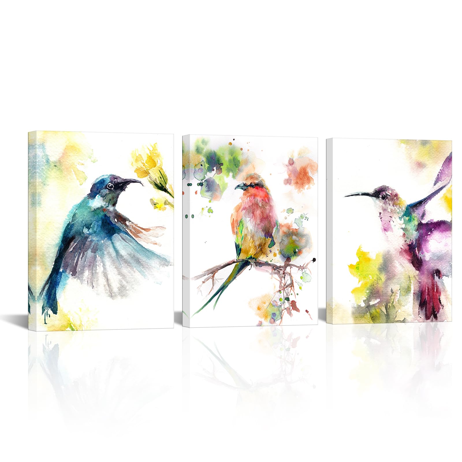 Amazon.co.jp: MLOML 水彩画 鳥 ウォールアート 3枚セット 見事な