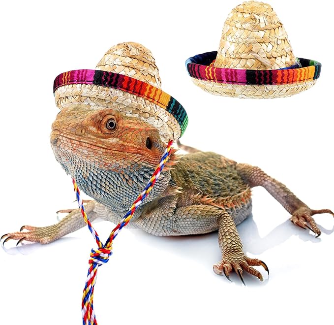 Bearded Dragon Sombrero Hats, Bearded Dragon Clothes Accessories Lizard Straw Hat with Adjustable Chin Strap Small Pet Hat Lizard Costume for Reptile Ferret Hamsterleopard Gecko Snake Guinea Pig Pet