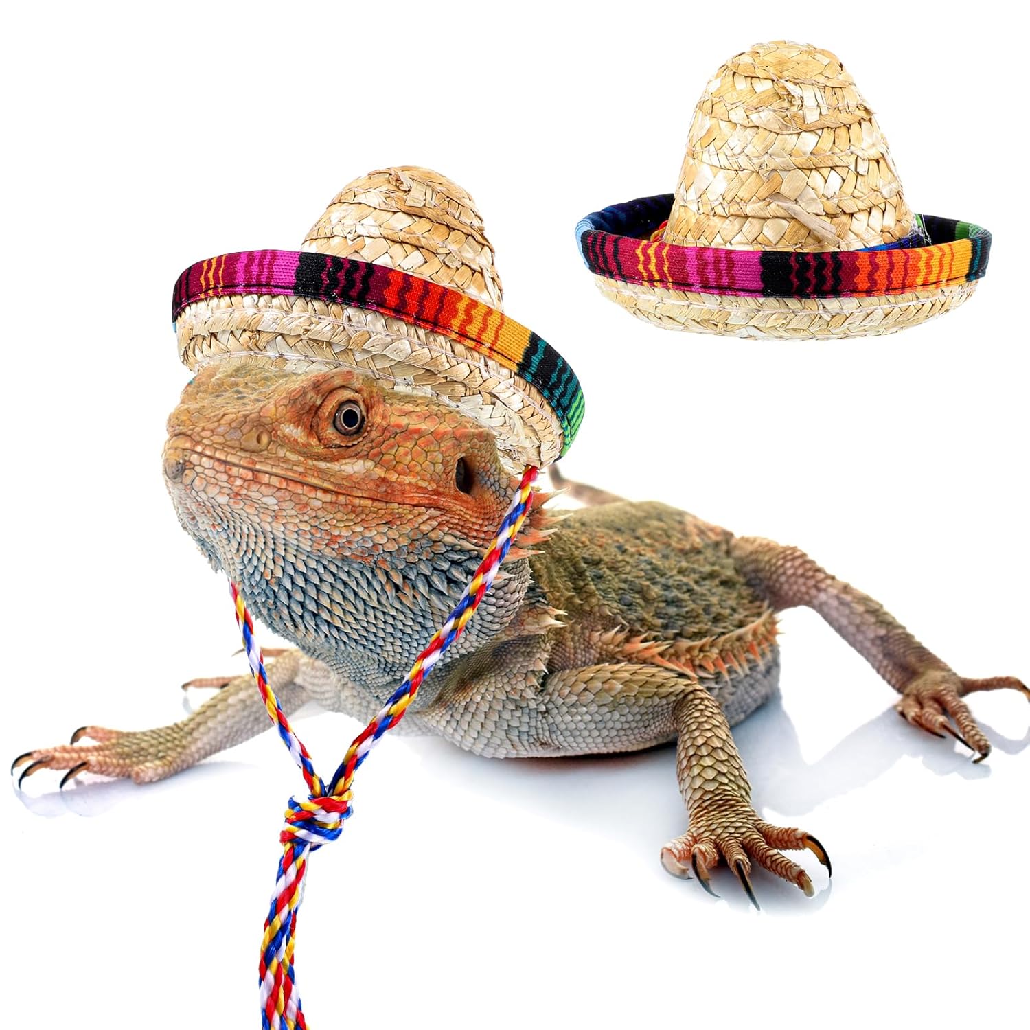 Bearded Dragon Sombrero Hats, Bearded Dragon Clothes Accessories Lizard Straw Hat with Adjustable Chin Strap Small Pet Hat Lizard Costume for Reptile Ferret Hamsterleopard Gecko...