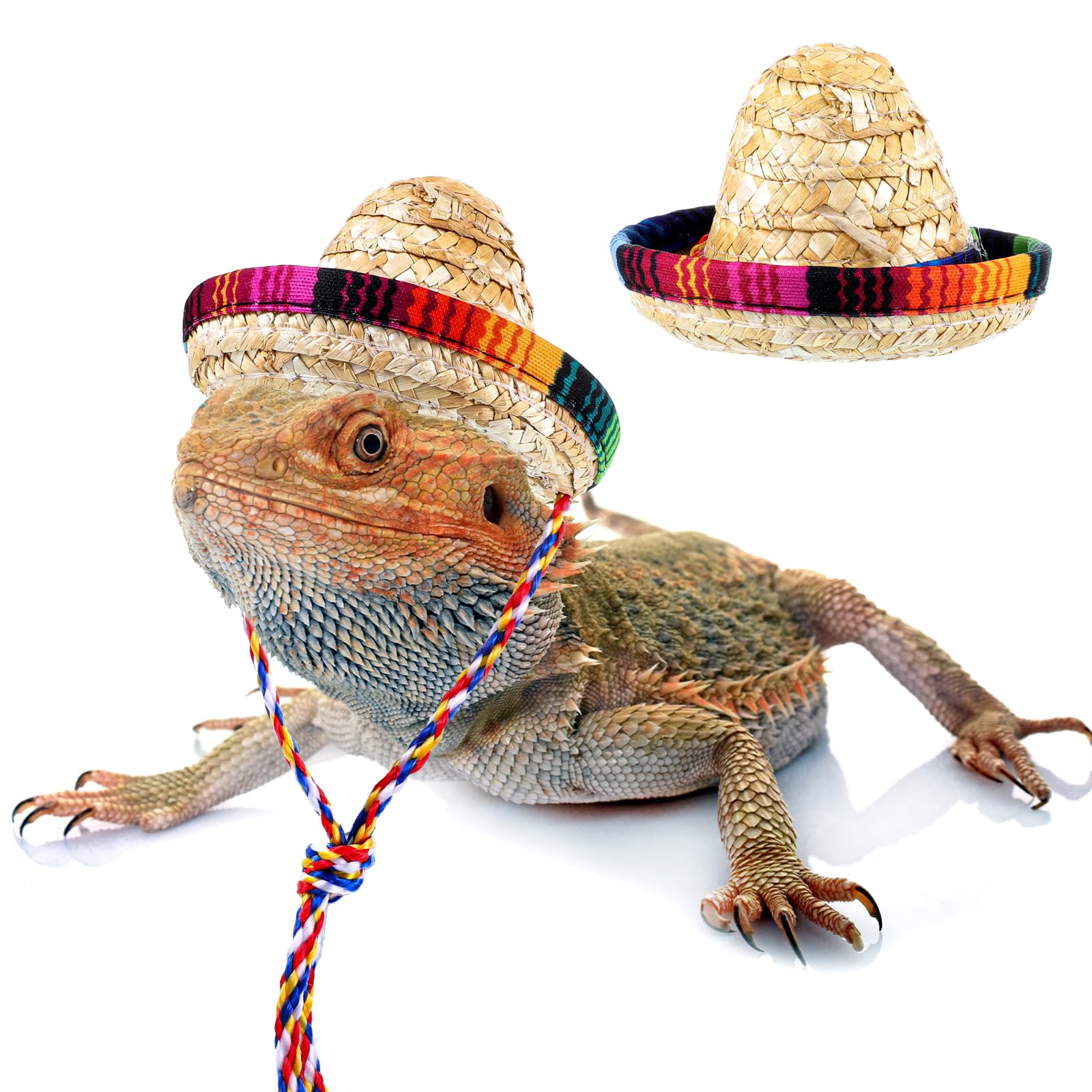Sombrero-Hüte für Bartdrache, handgefertigt, natürlicher Strohhut mit verstellbarem Kinnriemen, für kleine Haustiere, Eidechsen, Reptilien, Frettchen, Hamster, Schlangen, Meerschweinchen (2)