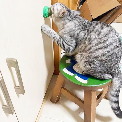 Miniatura 4 de 4 bolas de hierba gatera para gatos, juguetes de pared de hierba gatera para gato, lamer gatito, masticar, juguetes para limpiar los dientes,