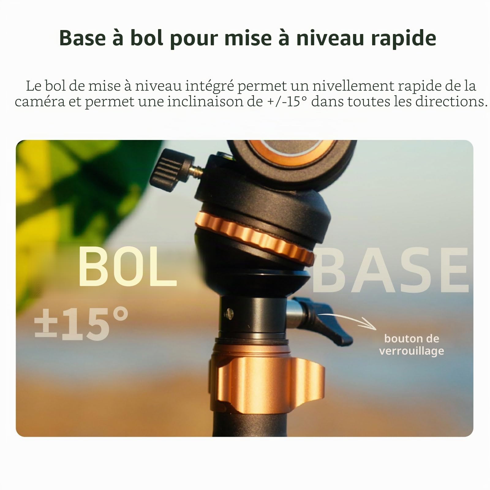 Cayer CF2451 Trépied vidéo 67 Pouces en Fibre de Carbone avec tête de traînée Fluide, trépied DSLR Compact à 4 Sections Convertible en Monopode, pour Appareil Photo Reflex numérique Canon Nikon Sony