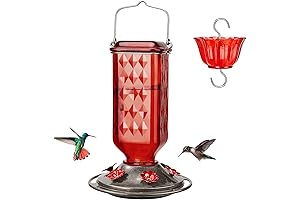 Kingsyard Glass Hummingbird Feeder for Outdoor Hanging: 6 Feeding Ports, 24 Ounces,...