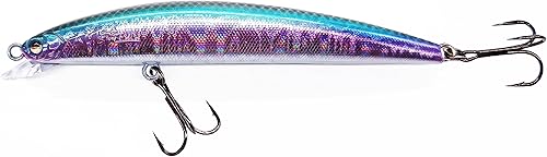CC60 Crankbaits for Bass Fishing, Slow Sinking, Silent, BKK Hooks, Crankbait, Pike Walleye Musky Fishing Lures, Shallow Diving Crank Bait, Depth 0-3