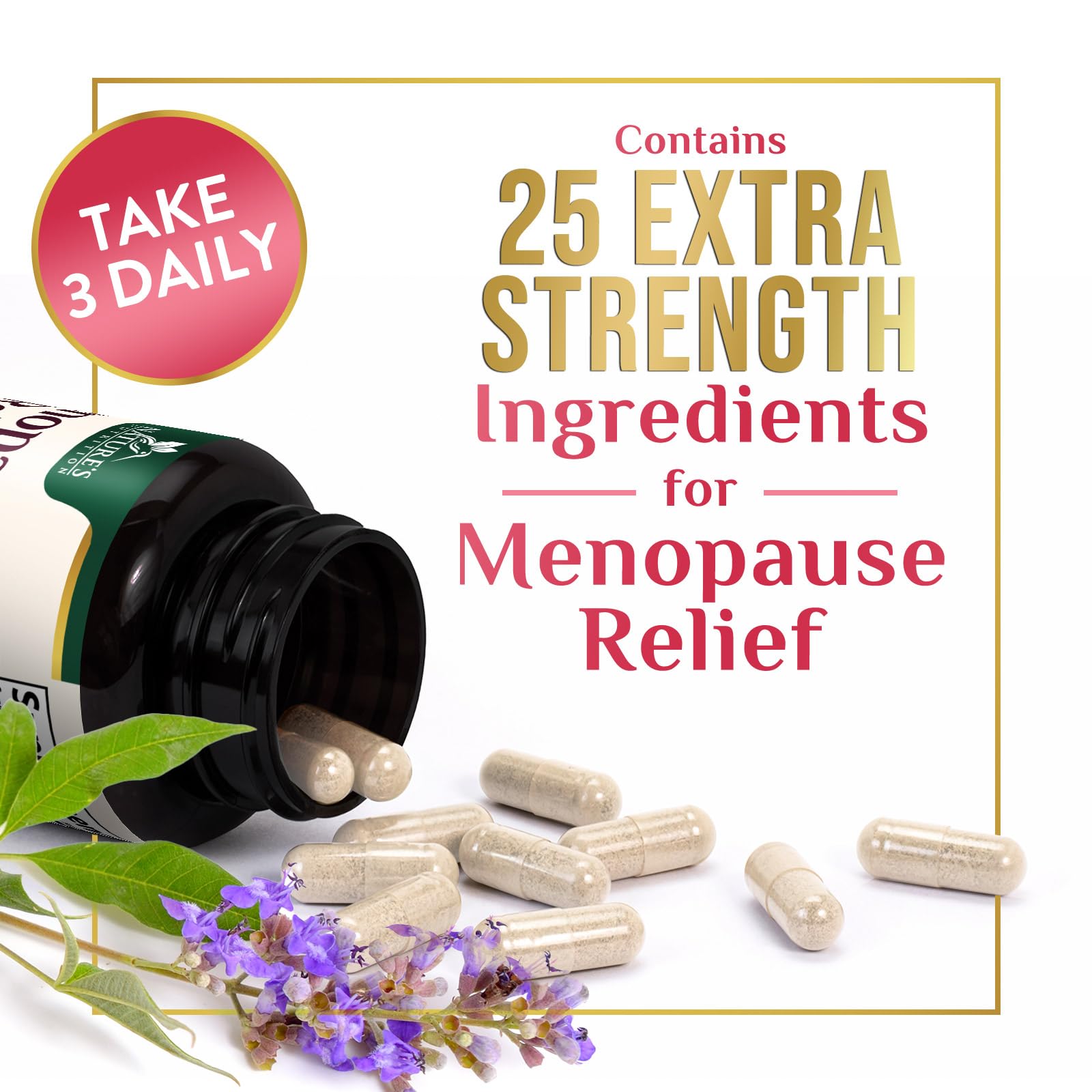 Menopause Supplements for Women - Best Probiotics for Women, Dong Quai, Black Cohosh, Ashwagandha - Natural Menopause Relief Support for Mild Hot Flashes & Night Sweats - Bottled in USA - 60 Capsules — Amazon image 6